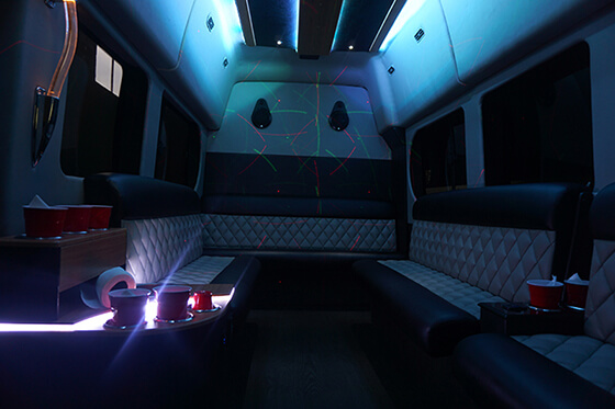 10 passenger limo bus jackson mi